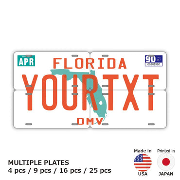 [Multi Plate] Florida 1980's / Original American License Plate