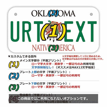 [For small bicycles] Oklahoma 1994 / Original American license plate