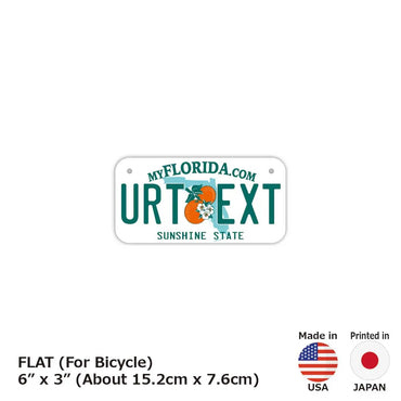 [For small bicycles] Florida 2000's / Original American license plate