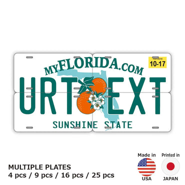 [Multi Plate] Florida 2000's / Original American License Plate