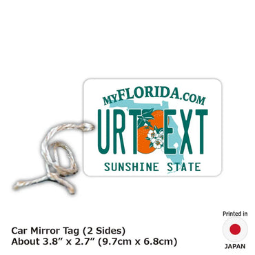 [Mirror Tag] Florida 2000's / Original American License Plate Type Air Freshener