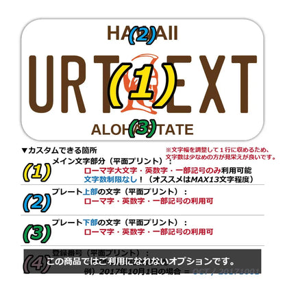 【ステッカー】ハワイ・カメハメハ大王/オリジナルアメリカナンバープレート型・耐水・耐候・屋外OK PL8HERO