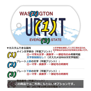 [Dog Tag] Washington / Original American License Plate Type Keychain