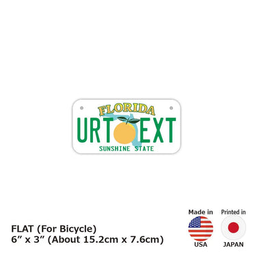 [For small bicycles] Florida / Original American license plate