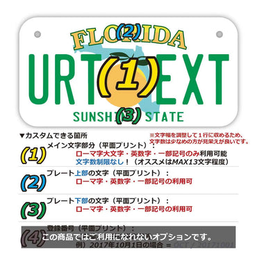 [For small bicycles] Florida / Original American license plate