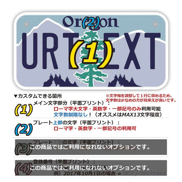 [For small bicycles] Oregon / Original American license plate