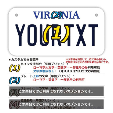 [For small bicycles] Virginia / Original American license plate