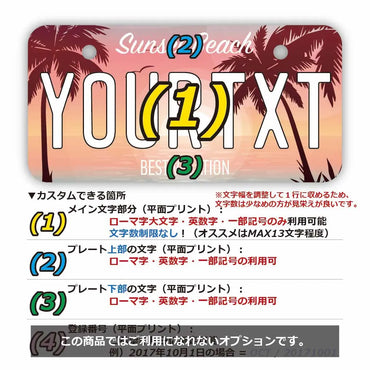 [Mini] Palm Tree / Ocean Sunset / Original American License Plate