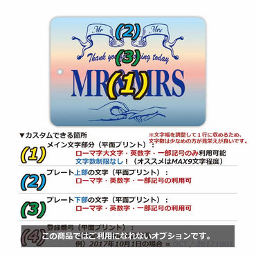 [Mirror Tag] Sunrise / Original American License Plate Type Air Freshener