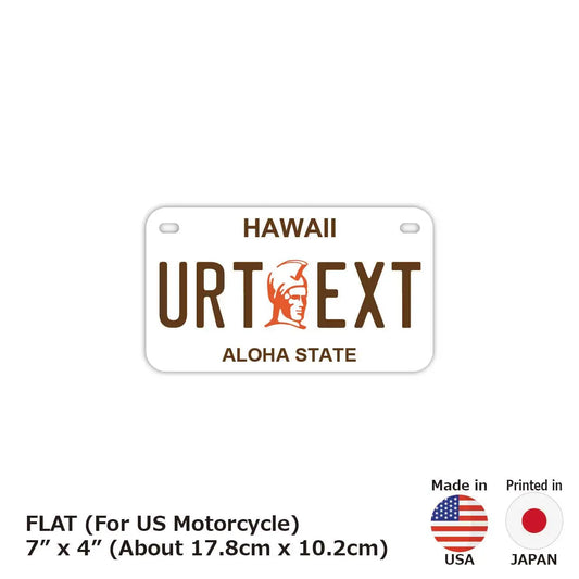 【中・USバイク用】ハワイ・カメハメハ大王/オリジナルアメリカナンバープレート PL8HERO