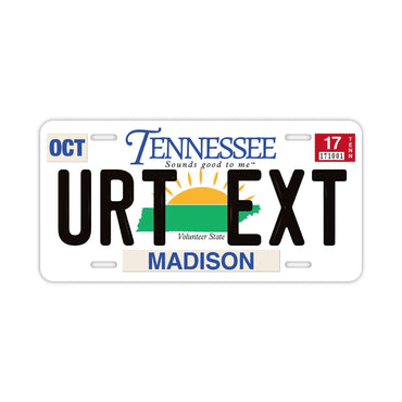[Large/US Car] Tennessee/Original American Embossed License Plate Fashionable Nameplate Sign