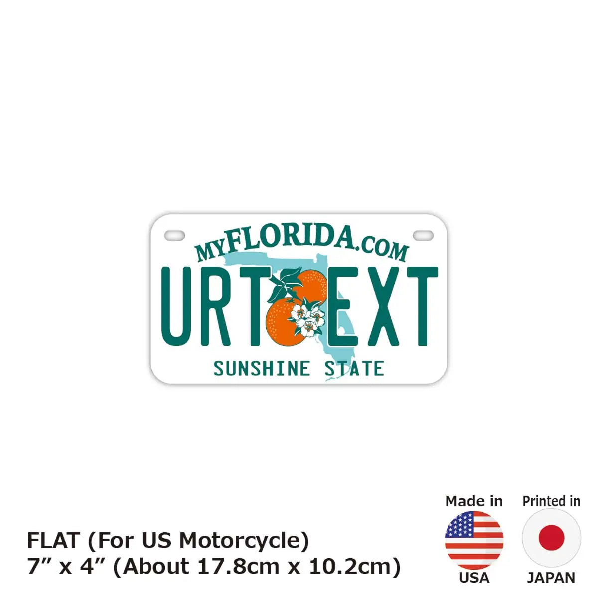【中・USバイク用】フロリダ2000's/オリジナルアメリカナンバープレート PL8HERO