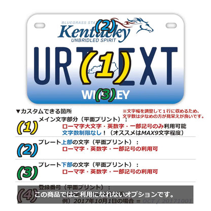【中・USバイク用】ケンタッキー2005/オリジナルアメリカナンバープレート PL8HERO